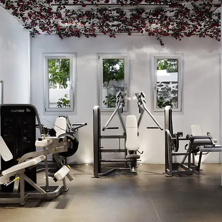 호텔 Belvedere Mykonos - Main - The Leading Of The World 5*